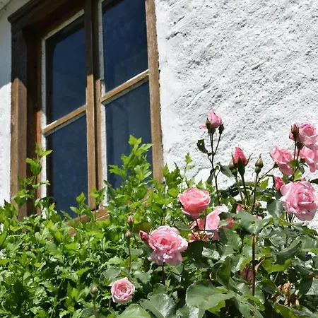 La Berceuse Nyaraló